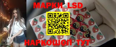индика Обнинск