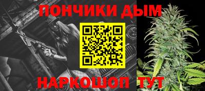индика Обнинск