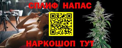 индика Обнинск