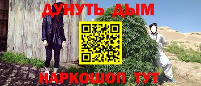 индика Обнинск