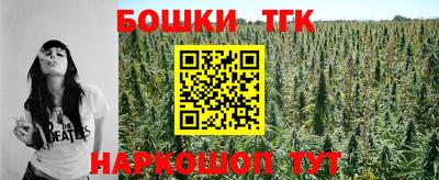 индика Обнинск