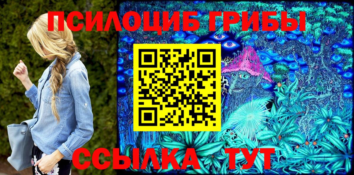 Хабаровск  Псилоцибиновые грибы Psilocybine cubensis  Псилоцибиновые грибы мицелий  Вход с VPN 