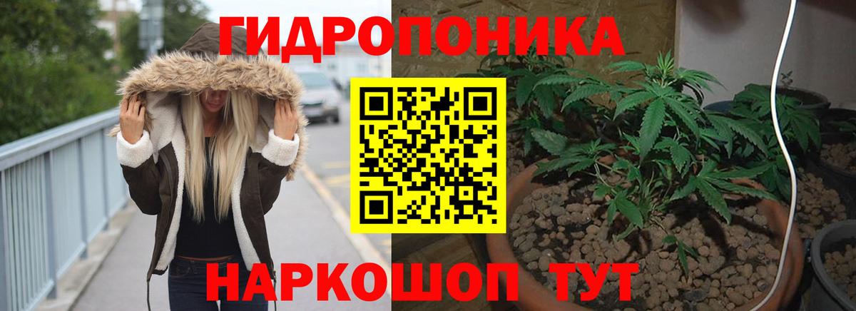 Конопля конопля  Марихуана план  Бошки марихуана сатива  Хабаровск  Бошки марихуана Ganja  Вход с VPN 